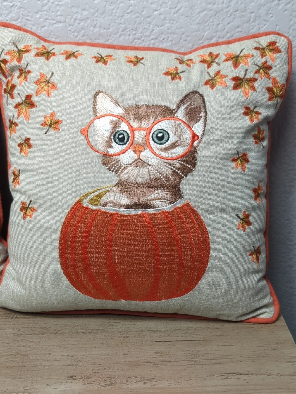 Pier 1 Imports Harvest Cat in Pumpkin Embroidered Throw Pillows - Set of 2